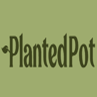 Planted Pot
