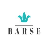Barse Jewelry