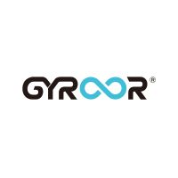 Gyroor Board