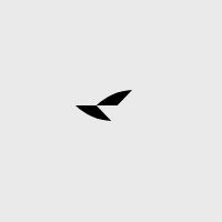 RayNeo