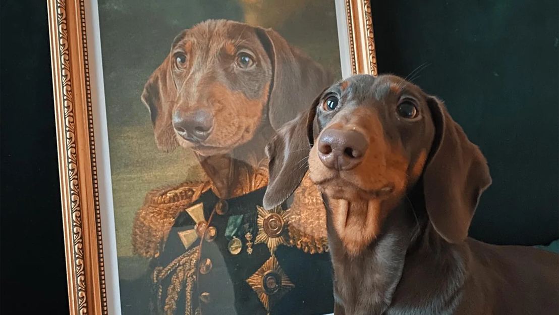 Have your Paw sitively