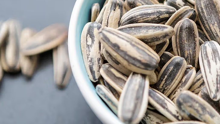Health Benefits of Sunflower Seeds_ The Power of a Simple Snack